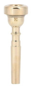 Munstycke Kompatibel med metalltrumpet, guldfärgat Bb-munstycke Kompatibel med trumpet, 3C, 5C, 7C (guld, 7C) Speltillbehör Gold 7C