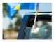 Bilflagga Sverige