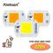 COB Chip LED-lampa 220V 10W 20W 30W 50W Smart IC Behövs ingen drivrutin Lampada LED-lampa Lampa För Flood Light Spotlight Gör-det-själv-belysning