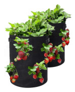 Jordgubbspåse, 2-pack 10 gallon jordgubbsodlingspåsar med 8 sidofickor, andningsbar non-woven tygförstärkt handtag för jordgubbar
